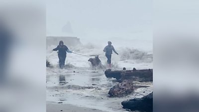 Two women and a dog try to outrun the incoming ocean during a storm in Oregon.