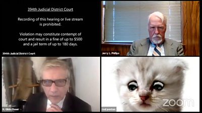 Lawyer Cat Face Zoom - This Ad Dug Up Unreleased Footage Of The Texas Cat Lawyer : Texas attorney rod ponton got off to a hilarious start during a recent court hearing when.