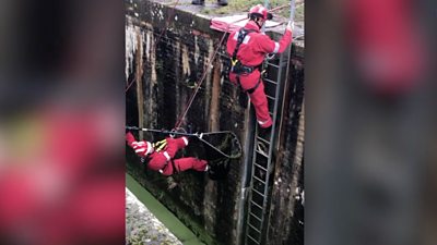 Badgers being rescued