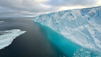 A74 iceberg investigation was serendipitous science - BBC News