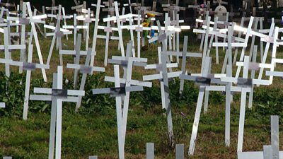 Many crosses in a cemetery