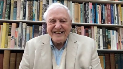 Attenborough