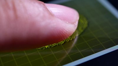 A fingerprint being scanned