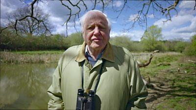 Sir David Attenborough: Problems that await greater than the epidemic