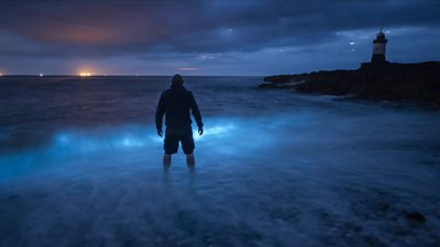 A man standing on Penmon beach by bioluminescence glowing from the water