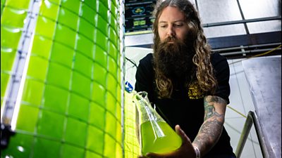 Man with microalgae bioreactor