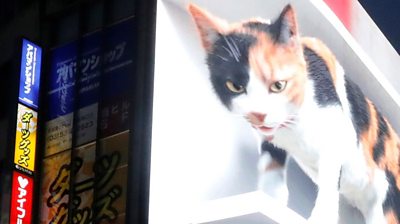 3D billboard of a cat in Tokyo