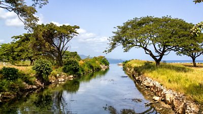 Jamaican landscape