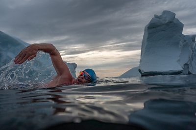 Greenland swimmer