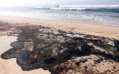 beach-covered-in-oil
