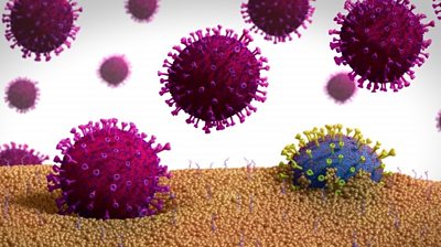 Illustration of a mutated form of a coronavirus (blue) exiting a cell.