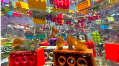 Lego with coral