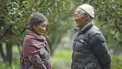 An elderly couple face each other in an apple orchard in Nepal.