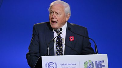 David Attenborough addressing COP26