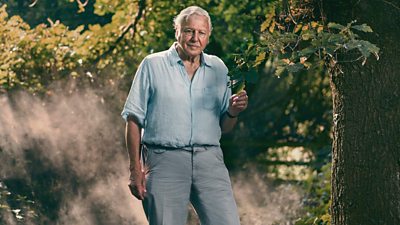 David Attenborough 