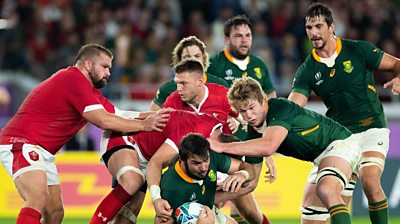 Wales V South Africa: Head Coach Wayne Pivac Accepts Underdog Tags ...