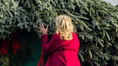 US First Lady sniffs Christmas tree