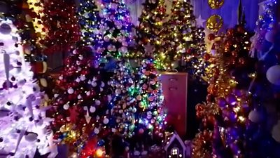 House full of Christmas trees