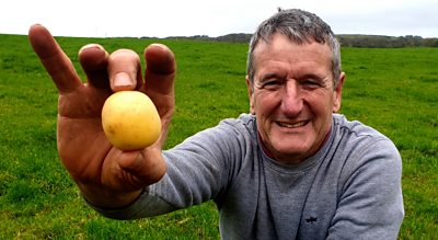 Potato farmer, Walter Simon