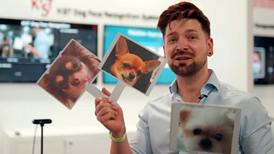The BBC's Chris Fox holds up three pictures of dogs to test a dog identification system