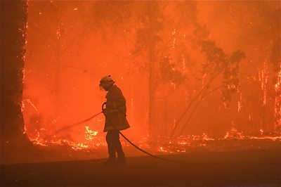 Firefigher hosing flames in bushfire