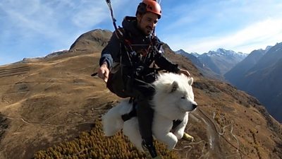 Man and dog paragliding