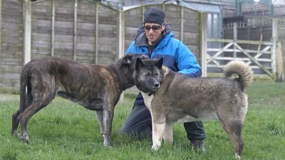 Brian playing with two of his dogs