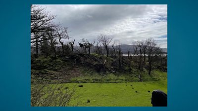 Gwynedd landscape