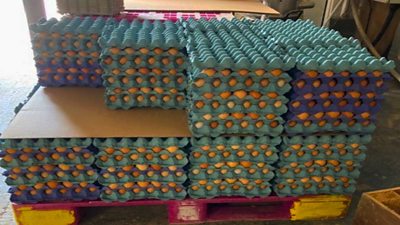 eggs stacked on pallet