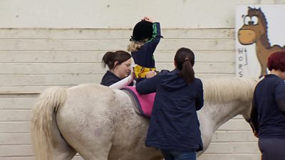 Equine therapy