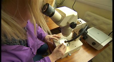 Researcher examining microplastics