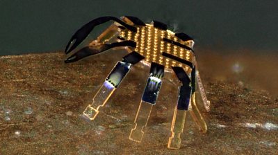 microbot