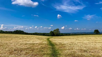 Weather For The Week Ahead - BBC Weather