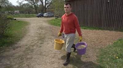 Dylan carries two buckets through a field