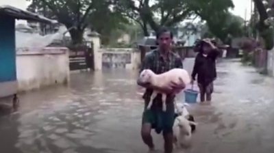People with livestock in floodwater