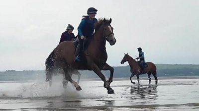 Rider on horse on Morecambe Bay sands