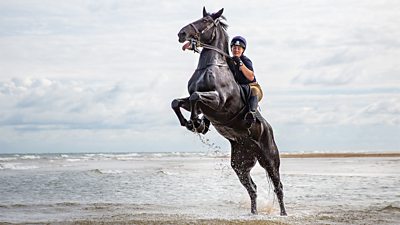 Household Cavalry trooper and horse on Holkham beach