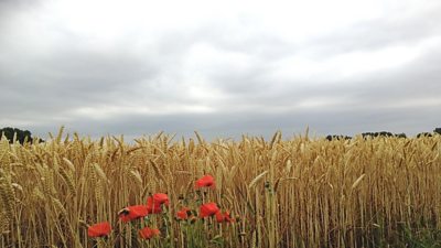 It's cooler but still warm in many areas, so is there any much needed rain on the horizon? Tomasz Shafernaker looks at the forecast into next week.