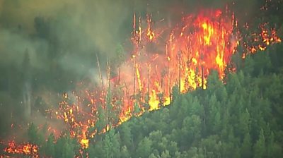 Wildfire in Miriposa County
