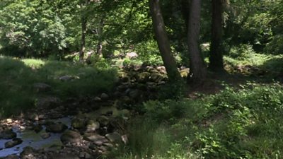 After almost 500 years in private hands, an ancient woodland is welcoming public visitors.