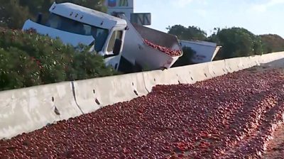 150,000 tomatoes scattered across a highway after a truck crashes