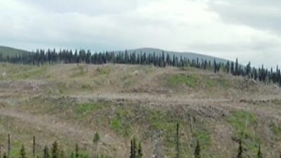 Deforested area of Canada