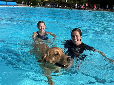 Dog 2024 swim 2019