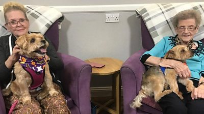 Care home residents and dogs