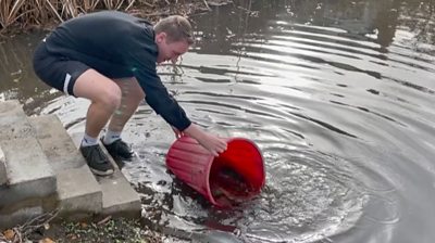 Fish being put into a pond