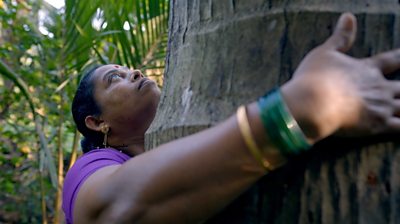 woman hugging a tree