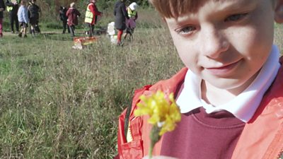 boy-holding-flower.