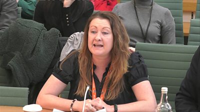 Rachel Harrison speaking to the select committee