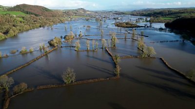 Flooded fields