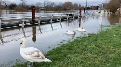 River Severn at Worcester